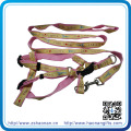 Top Seller Poliéster / Nylon Material Refletivo Bungee Running Leash Trelas Do Cão / Cintos